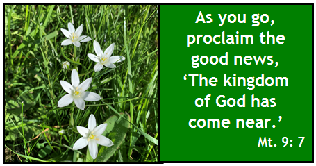 As you go, proclaim the good news, 'The kingdom of God is near.' Mt 9:7